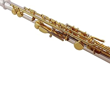 Amazon | フルート 17 穴オープンホール銀メッキフルート楽器 C